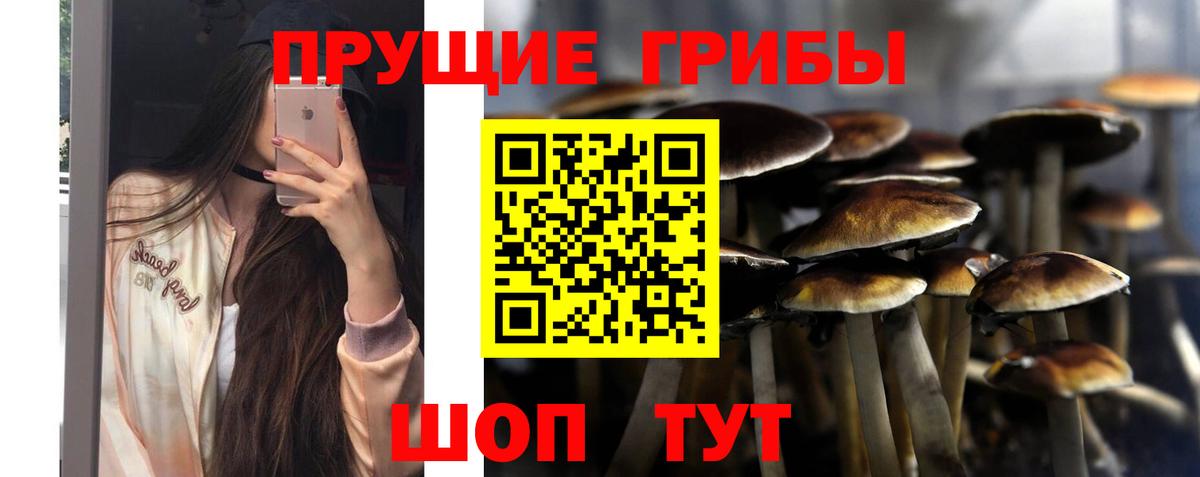 Псилоцибиновые грибы ЛСД Сочи